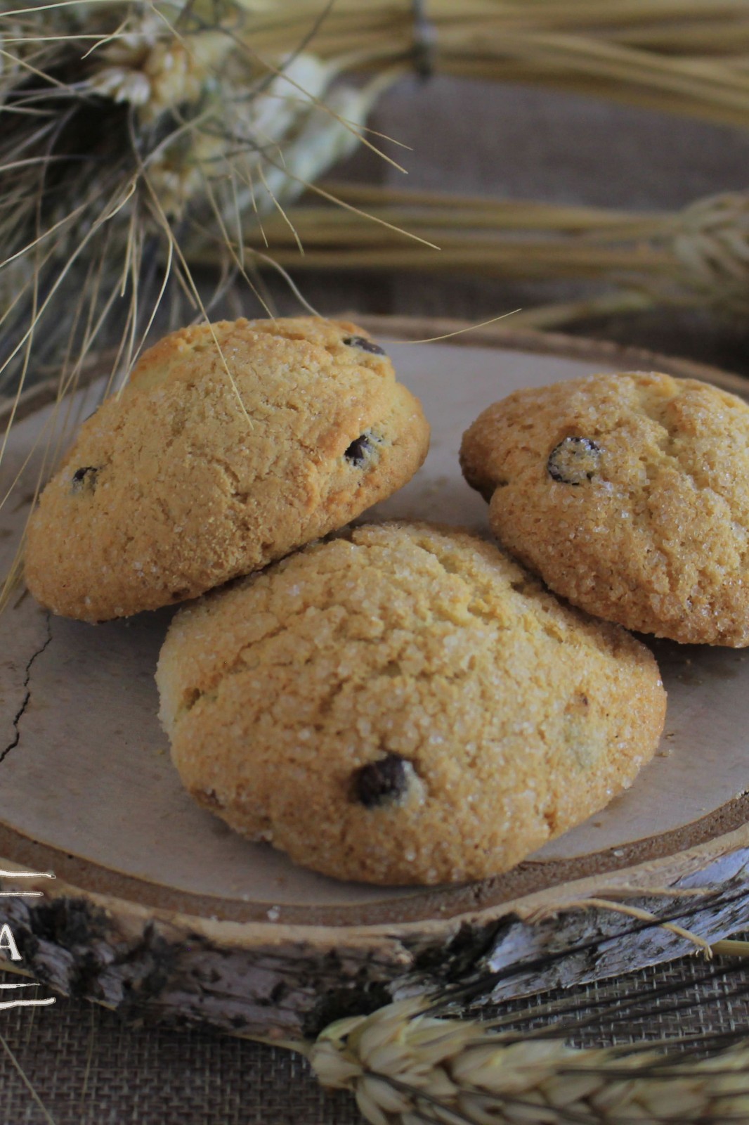 Cookies from Milk Balls in the Chocolate