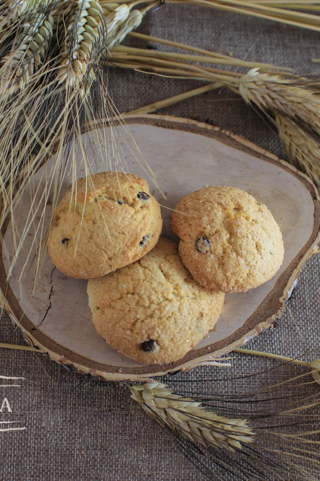 Cookies from Milk Balls in the Chocolate