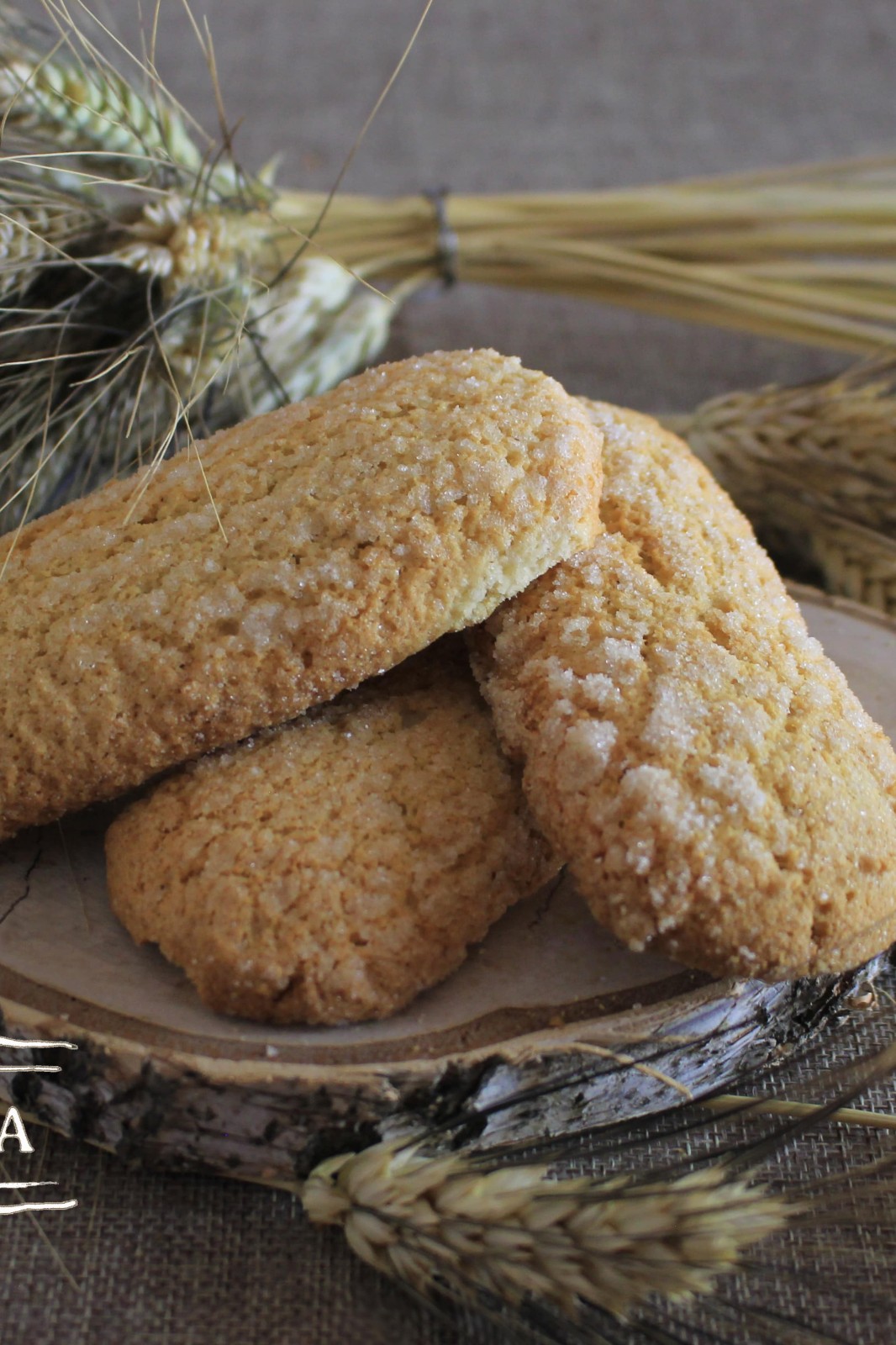 Biscuits Milk-Long Sugary