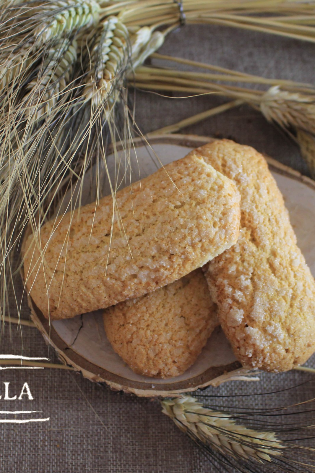 Biscuits Milk-Long Sugary