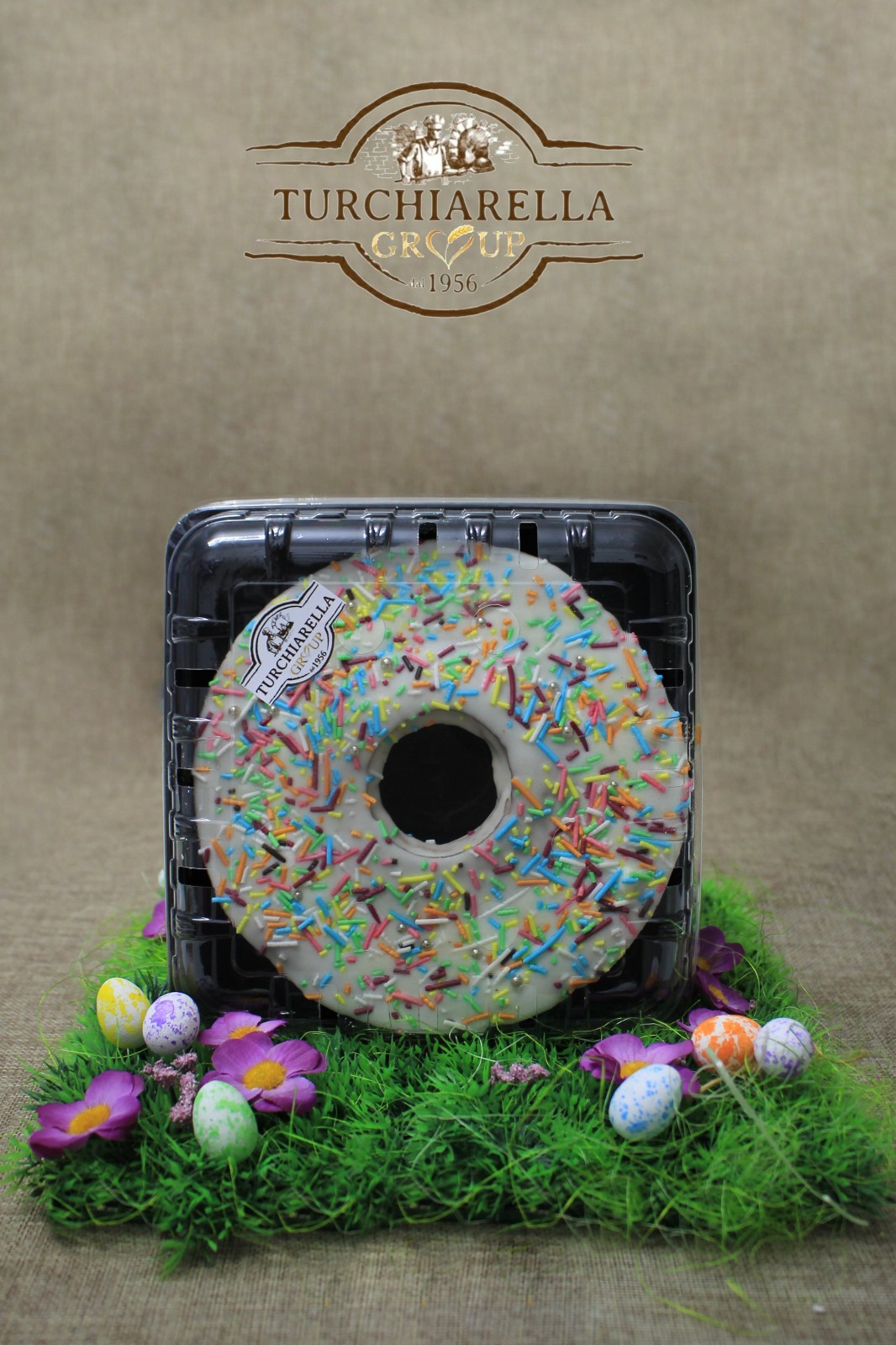 Squrcelle of sponge cake and Chocolate