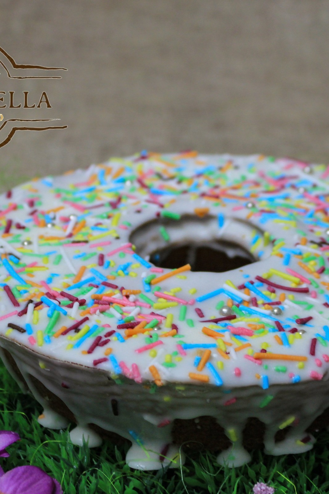 Squarcelle di Pan di Spagna al Cioccolato